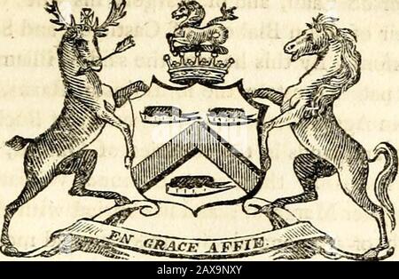 Il peerage di Collins dell'Inghilterra; genealogico, biografico e storico. Eletto rappresentante in parlamento per la città di Westminster, April2]st, 1779. La sua Signoria sposò, il 6th giugno 1786, la signora, e, Stephenson, vedova di Edward Stephenson, Esq. Ma non ha alcun problema. La sua nave-Signore ha preso il nome di Coningshj, a destra di sua nonna^ 486 PEERAGE D'INGHILTERRA, alle cui proprietà egli succedette. È lord luogotenente Di Here-fordshire^ e registratore e alto amministratore di Leominster. Titoli. George Capel, Conte di Essex, Visconte Maiden, e Baron Capel, di Hadham. Creazioni. Barone Capel, di Hadhara in Foto Stock