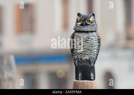 Ritratto di un bel gufo fatto di legno seduto su un palo Foto Stock