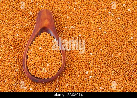 grani di miglio rosso con cucchiaio di legno. Foto Stock