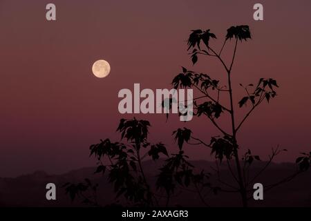 Neve luna su Comares e la regione Axarquia di Andalusia, Spagna, Europa Foto Stock