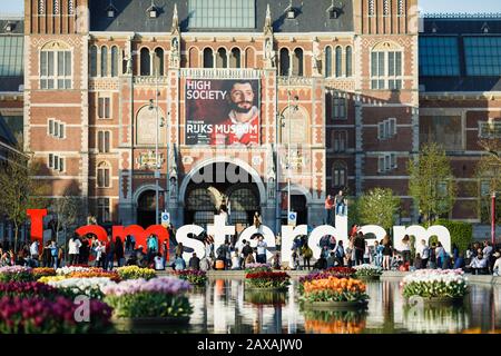 Tulipani fioriscono di fronte al Rijksmuseum e all'insegna di Amsterdam su museumplein, Amsterdam, Olanda Foto Stock