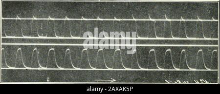 TransactionsPublished sotto la cura del Segretario Generale e del Tesoriere . Fig. :J1a.. Fig. 32a. Foto Stock