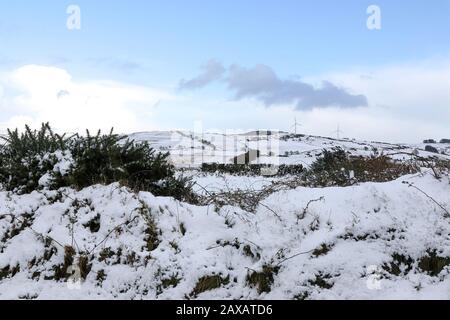 Finnis, County Down, Nord, Irlanda. 11th Feb, 2020. Tempo nel Regno Unito: Forti accumuli di neve su terreni alti alle colline di Dromara nella contea Giù. Con le docce pesanti che soffiano attraverso più seguirà durante la notte e in domani prima che le temperature aumentino di nuovo. Credito: David Hunter/Alamy Live News Foto Stock