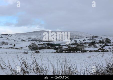 Finnis, County Down, Nord, Irlanda. 11th Feb, 2020. Tempo nel Regno Unito: Forti accumuli di neve su terreni alti alle colline di Dromara nella contea Giù. Con le docce pesanti che soffiano attraverso più seguirà durante la notte e in domani prima che le temperature aumentino di nuovo. Credito: David Hunter/Alamy Live News Foto Stock