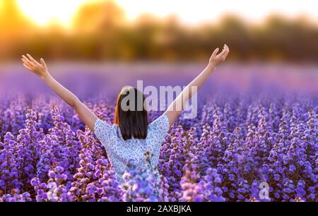 Amo l'azienda agricola dei fiori, il distretto di Mae Rim, la provincia di Chiang mai Foto Stock