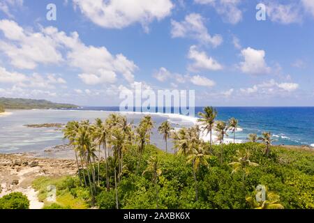 La costa rocciosa di un'isola tropicale. Siargao, Filippine. Seascape con palme in tempo soleggiato, vista aerea. Alberi di noce di cocco in riva al mare. Foto Stock