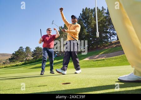 I golfers maschio felici che acclamano sul verde di messa soleggiato Foto Stock