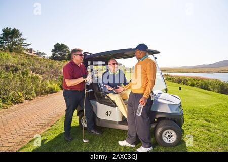 Amici del golfer maschio che parlano al golf cart soleggiato Foto Stock