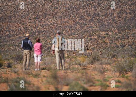 Tour Safari in gruppo guardando giraffe sulla soleggiata riserva naturale Foto Stock