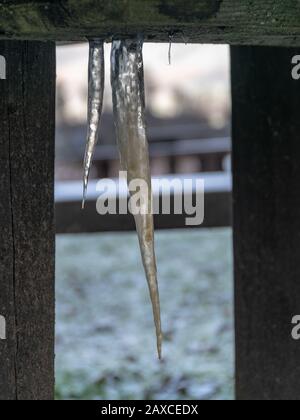 immagine con icicle, icicle formato sotto un tavolo di legno Foto Stock