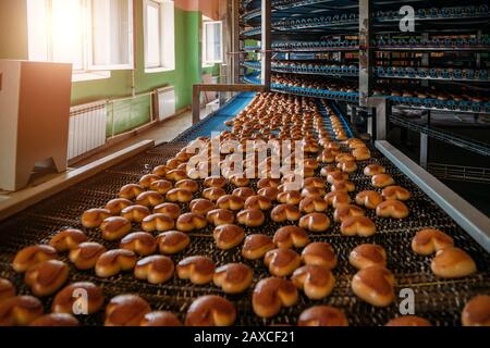 Biscotti cotti sul nastro trasportatore. Linea di produzione automatizzata di biscotti e torte da forno. Foto Stock