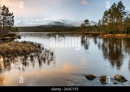 Bella luce di primo mattino su Loch Morlich, con montagne innevate in lontananza, Scozia, Regno Unito, Europa Foto Stock