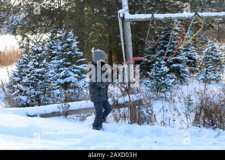 Tagliare l'albero di Natale con nonno Foto Stock