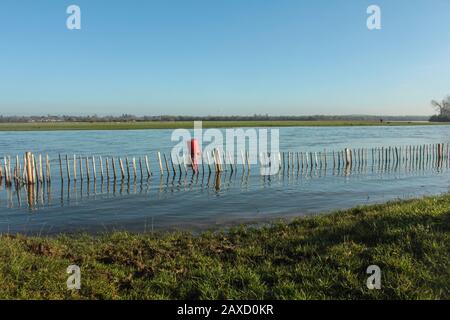 Il Fiume Tamigi Inondando Su Port Meadow, Oxford Foto Stock