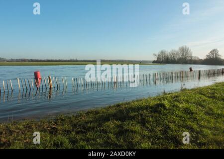 Il Fiume Tamigi Inondando Su Port Meadow, Oxford Foto Stock