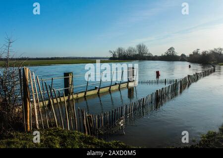 Il Fiume Tamigi Inondando Su Port Meadow, Oxford Foto Stock