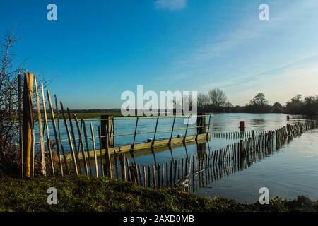 Il Fiume Tamigi Inondando Su Port Meadow, Oxford Foto Stock