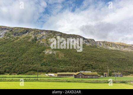 Case tradizionali nordiche in legno con tetti in erba in un paesaggio panoramico di montagne e pineta Foto Stock