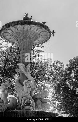 Fuente del Pequeño Tritón Foto Stock