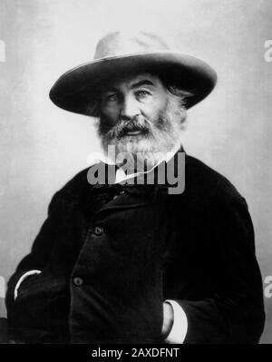 1890 c., USA : il poeta più celebre degli Stati Uniti WALTER WHITMAN ( 1819 - 1892 ) - POETA - POESIA - POESIA - LETTERATURA - LETTERATURA - cappello - barba - barba - STORIA - FOTO STORICHE - ritratto - ritatto - WALT ---- Archivio GBB