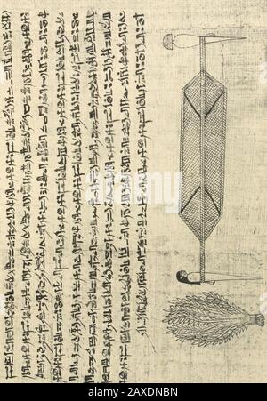 Papiro funéraires de la XXIe dynasie . - il i/ o in co .c V)V ?z..Q. RaQ. -5 jÉl pl. XXVIII ci n > X Foto Stock