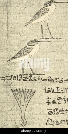 Papiro funéraires de la XXIe dynasie . F.- ? g^ 1 <;ii 83. Foto Stock