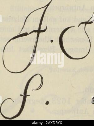 Katalog der königlichen Gemäldegalerie zu Dresden, (e supplemento) . 4.) Leinwand; h. 0,49; br. 0,6472. 1741 durch Kaiserling. L 2. 390 Niederländer des siebzehnten Jahrhunderts. 1220. Distel und Kornblumen. Eine mächtige Distel spriesst vor (1115.) grauem Wandgrunde. Neben ihr blühen Kornblumen, Camillen-Q 1- und andere Blumen. Links die Landschaft. LeinAvand; h. 1,05; br. 0,83. Inventar 1722, B 1363, ohne ^Vngabe desKünstlers. Damals in Moritzburji:. Die Urheberschaft des Son schon bei H. bezweifelt. Jan van Kessel d.. ä. GEB. Zu Antwerpen den 5. Aprile 1626; gest. Daselbst Ende April1679 Foto Stock