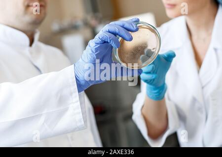 Gli assistenti di laboratorio analizzano i batteri in una clinica di batteriologia. Concetto medico microbiologico Foto Stock