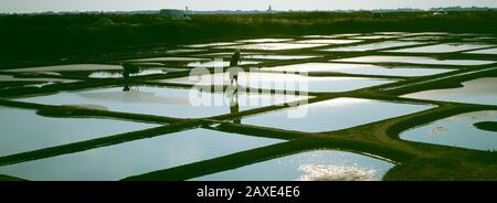 Brittany, Francia Foto Stock