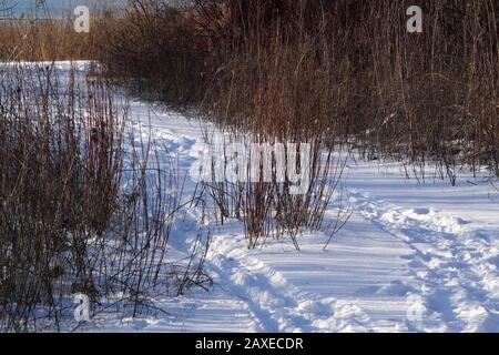 Leslie Spit Conservation Area Toronto Foto Stock