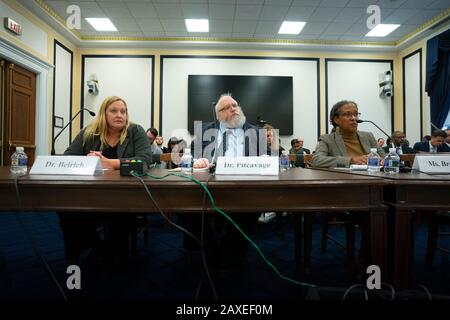 Dr. Heidi Beirut, Co-Fondatore E Chief Strategy Officer Di Global Project Contro Odio Ed Estremismo, Dr. Mark Pitcavage, Senior Research Fellow Presso Il Center On Enestremismo, E Lecia Brooks, Chief Workplace Transformation Officer presso il Southern Poverty Law Center, testimoniano davanti al SubCommittee on Military Personnel presso il Campidoglio degli Stati Uniti a Washington, DC, Stati Uniti, martedì 11 febbraio 2020. Credito: Stefani Reynolds/CNP | utilizzo in tutto il mondo Foto Stock