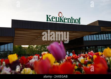 Ingresso al parco dei fiori di Keukenhof, tulipani in primo piano, Lisse/Amsterdam - Olanda Foto Stock