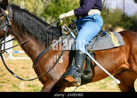 Renactor vestito in uniforme del soldato 1880s US Army nella 5th Cavalry a cavallo a Fort Lowell, Tucson AZ Foto Stock