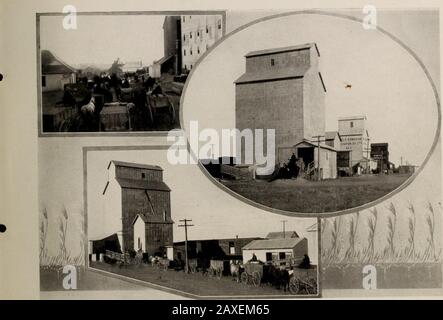 Scene interessanti dentro e intorno Moose Jaw, Saskatchewan : il più importante centro ferroviario canadese del Pacifico nel famoso nuovo ovest tra Winnipeg e Calgary. . Trebbiatura Dell'Elevatore Del Riso E Del Mulino A Farina, Moose Jaw. Ascensori, Moose Jaw District CtvritkUd h Lf-.vis Kit*, Cammdm, ><Jos Foto Stock