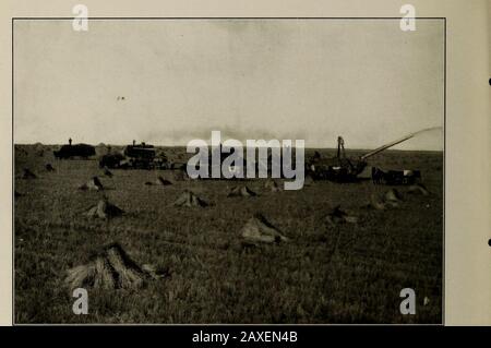 Scene interessanti dentro e intorno Moose Jaw, Saskatchewan : il più importante centro ferroviario canadese del Pacifico nel famoso nuovo ovest tra Winnipeg e Calgary. . Raccolta, Moose Jaw District Mm. Trebbiatura Dell'Elevatore Del Riso E Del Mulino A Farina, Moose Jaw Foto Stock
