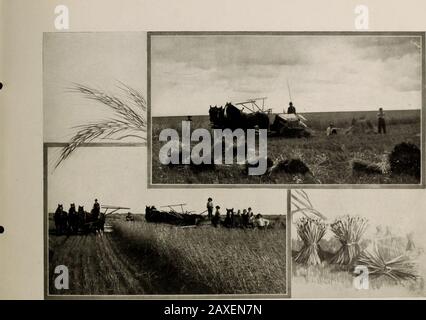 Scene interessanti dentro e intorno Moose Jaw, Saskatchewan : il più importante centro ferroviario canadese del Pacifico nel famoso nuovo ovest tra Winnipeg e Calgary. . Breaking, Moose Jaw District Protetto Da Copyright Di Let. Raccolta, Moose Jaw District Mm Foto Stock