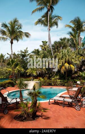 Patio di lusso stile di vita di una villa fronte spiaggia della Florida. Giardino con piscina sotto le palme. Foto Stock