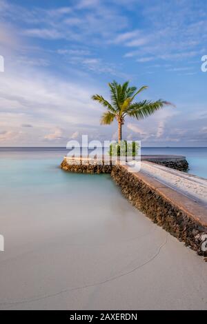 Un ritratto di una palma lone si trova alla fine di un molo presso lo splendido W Hotel nelle Maldive Foto Stock