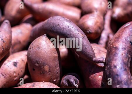 Mucchio di patate dolci o sfondo Kumara Foto Stock