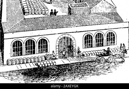 Volume americano scientifico 18 numero 20 (maggio 1868). W *l si ? 1 è. E. G. Kelleifs REPINED ROCK O MECCA OIL, per ferrovie, Steamers e Fabbriche. Prezzo 50 centesimi. Testimonianze arredate, quando si desidera, da persone whohausedthheoil foryears. A liberaldiscountiothetrade.Office 102 e 104 Maiden Lane, New York. 17 lem PER FERRO E LEGNO-WORKINGMachinery, Steam Engines, Boilers, and Supplies,indirizzo HUTCHINSON & L&UKENCE, 8 Dey St., N. T. 19 4 MACINE DI BURR FRANCESI, BULLONATURA CLJTHS, Delle migliori qualità importate, Fornito Cheaprr di qualsiasi altra casa nel paese hv GEO. TALLCOT,14 13* 98 L. Foto Stock