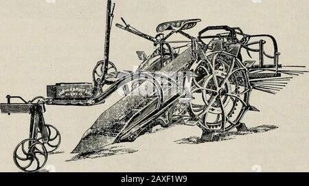 The Journal of the Department of Agriculture, Victoria. ransomes rotative potato digger.. I sacchetti DEL DIGGER DELLA PATATA di Hoover sono stati girati fuori ed esaminati con attenzione per le patate danneggiate dalle forchette, ma nessuno erano fondnd. Il risultato di queste prove deve essere considerato molto soddisfacente, e dimostra che questa macchina è un grande miglioramento su qualsiasi ancora provato in questo Stato. I principali coltivatori di queste trialssi sono espressi molto soddisfatti del modo in cui le colture sono state manigliate in diverse condizioni di terreno e raccolto. Lo Feb., 191^-] Fattoria BlacksnhiiJiDi^. 123 FABBRI AGRICOLI. {Continua da pagina 5./.) Foto Stock