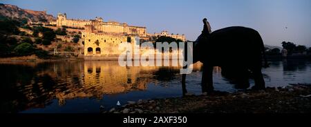 Profilo laterale di un uomo seduto su un elefante, Amber Fort, Jaipur, Rajasthan, India Foto Stock