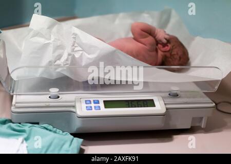 neonato sulla bilancia Foto Stock