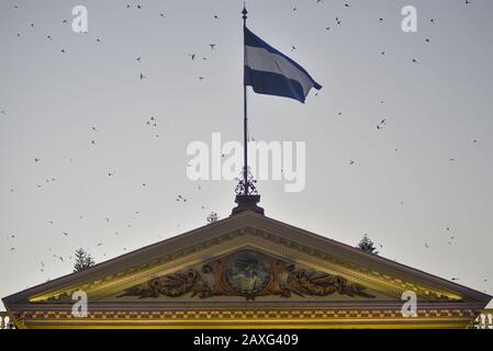 San Salvador, El Salvador. 11th Feb, 2020. Un gregge di uccelli volano sulla bandiera di El Salvador.Il presidente di El Salvador Nayib Bukele giurato in 270 nuovi ufficiali di polizia in mezzo a una crisi politica che ha iniziato quando ha burlato in congresso con l'aiuto della polizia e militare.All anche se la Corte Suprema di giustizia ha negato Bukele l'uso Di polizia e militare a fini politici, il Presidente del Salvador ha formulato osservazioni politiche rivolgendosi ai nuovi funzionari di polizia, il che implica che la situazione non si è ancora placata. Credit: Latest Freedman/Zuma Wire/Alamy Live News Foto Stock