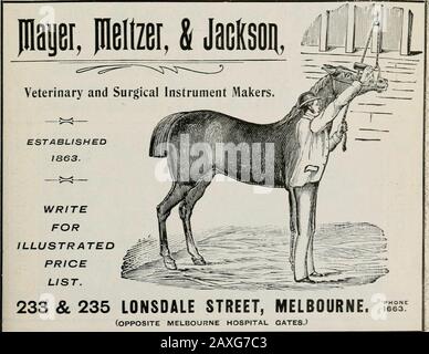 The Journal of the Department of Agriculture, Victoria . v: Scarica IL NOSTRO CATALOGO DI RECINZIONI E CANCELLI. CYCLONE WOVEN O 459 SWANSTON STREET, WIRE FENCE & GATE CO. • IVIELBOURNE . ^. Jyurnal Di Agricoltura, Victoria. [Lo Gennaio 1912, GLEN ELGINS PHILANTROPO 299 A.H.B. di Aus. (|)^ (|)(|) Foto Stock