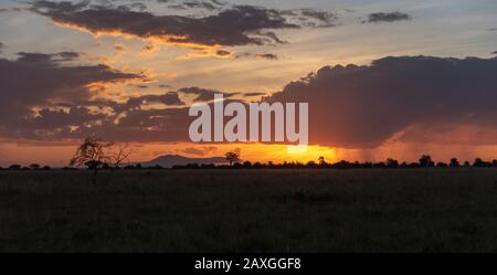 Il tramonto svanisce sul Serengeti. L'ultimo del cielo stupefacente quasi andato. Foto Stock