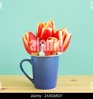 Fiori di tulipano rosso su tavola di legno con sfondo verde menta. Disposizione floreale primaverile Foto Stock