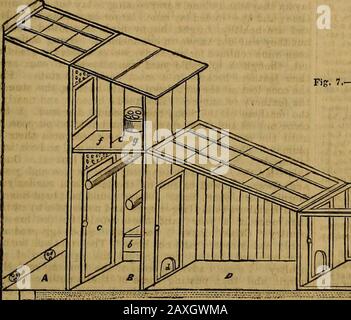 Giornale di orticoltura, giardiniere cottage e signori di campagna . THB POTRIITBT HOME E VINEEY.. Fig. 7.-Casa Avicola E Vinery. Foto Stock