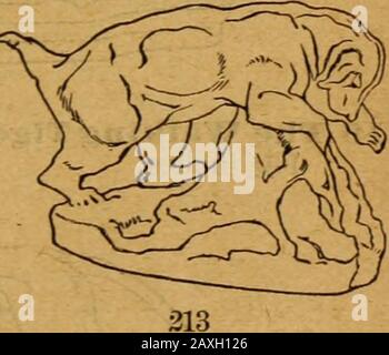 Catalogo delle collezioni dell'American Art Association da vendere assolutamente all'asta per sistemare la tenuta del compianto RAustin Robertson; parte prima . 208 215 Ape Biding Un Gnu. (1842). Altezza, 9 pollici; lunghezza, 10 pollici. 216 La Tigre Che Cammina. Altezza, 8)4 pollici; lunghezza, 16 pollici. 217 cuscinetto di toro, Attaccato da una tigre. (1837). Altezza, 9 pollici; lunghezza, 11 pollici. 106 BRONZI DI BARYE Foto Stock