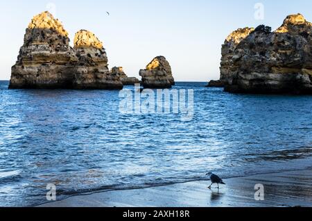 Spiaggia di Don Camilo a Lagoa, regione Algarve del Portogallo Foto Stock